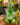 ChatGPT Image May 21, 2026, 08_33_10 AM